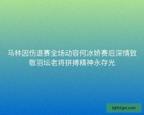 马林因伤退赛全场动容何冰娇赛后深情致敬羽坛老将拼搏精神永存光